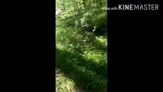 Покатушки на ВЕЛИКАХ!