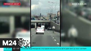 Райдера на моноколесе заметили на дорогах Москвы - Москва 24