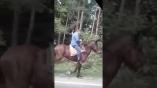 Прогулка верхом