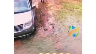 #смешноевидео, #лучшаяподборка                Подборка лучших видео из ИНСТАГРАМ август #6