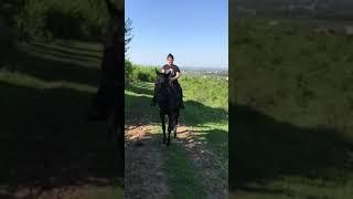 Я катаюсь на лошади
