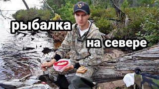 Рыбалка на севере. Архангельская область. Змеиное Озеро.