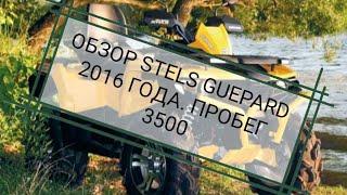 ОБЗОР КВАДРОЦИКЛА STELS GUEPARD 2016 ГОДА. ПРОБЕГ 3500 КМ.
