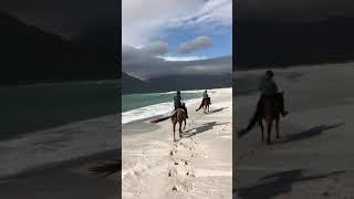 Horse riding in Cape Town Верховая езда в Кейптауне