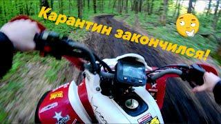 Карантин закончился! Конфуз с деревом | Irbis Atv 250