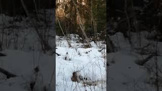 нет дороги, проложим новую