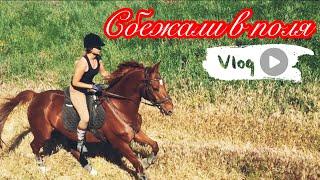 КОННЫЙ Vlog | Прогулка на лошади
