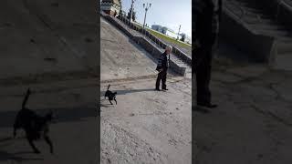 теплоходы