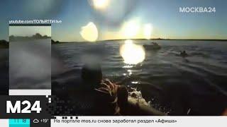 Гидроцикл столкнулся с моторной лодкой под Тольятти - Москва 24