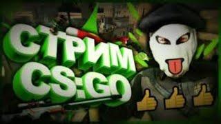Стрим по cs go
