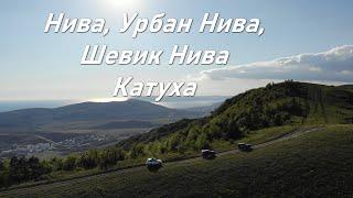 3 Нивы в Горах Геленджика