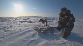 ОДИН НА ЛЬДУ рыбалка с ночёвкой В МОРОЗ -З0 ловлю налима