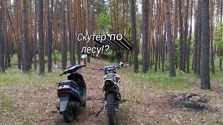 На скутере в лесу. Изучаем новые тропинки