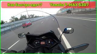 190 км/ч на мопеде!