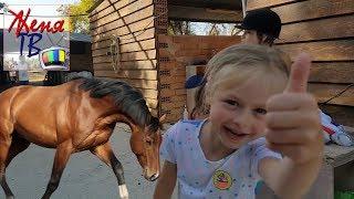 ВИДЕО ПРО ЛОШАДЕЙ И ДЕВОЧКУ ВЕРХОМ НА ЛОШАДИ || ВЕРХОВАЯ ЕЗДА ДЛЯ ДЕТЕЙ