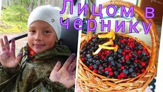 486. Сосновый релакс,лучший отдых от городской суеты....