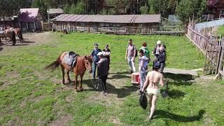 Вечерние прогулки на лошадках
