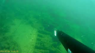 Подводная охота на Черном море. Абхазия.