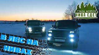 Поездка в зимний лес на Нивах