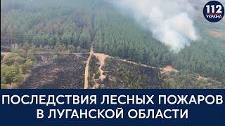 Впечатляющие кадры. Лесные пожары в Луганской области не утихают
