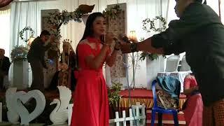podang kuning vs nanda