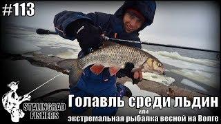 Голавль среди льдин или экстремальная рыбалка весной на Волге