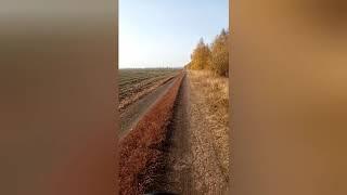 Покатушки на скутере vento zipr3i. #1