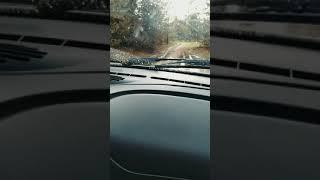 покатушки на ниве по лесу Ивановской области.