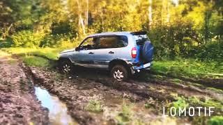 Полный привод Нивы в лесу