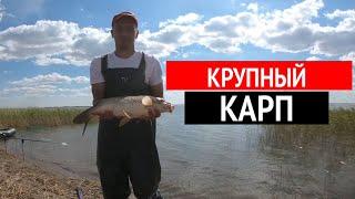 Рыбалка в Астане! оз. Узунколь! Огромный Сазан Карп