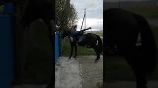 Наездница