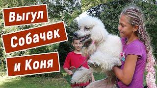 Выгул собак и Коня, Жужа Зося и Друзья, Цирковые собаки, Дети Сочи 2020, Смайли, Smile, 717