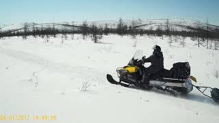 Cнегоход BRP Ski-Doo Skandic 900 ace swt