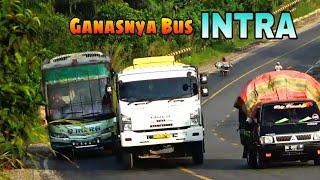 Bus Intra Super Executive Menguasai Lintasan Minas || Hunting Bus Malam Panen Ngeblong