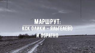 Путешествие на лошади. Лучшие моменты и опыт приучения молодой лошадки к дорожным страшилкам.