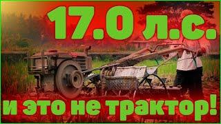 Что творят эти КИТАЙЦЫ