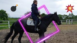 Работа с Поломанной психикой лошади,  Очень трудная Работа 