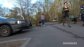 Проверяю на дальность свое моноколесо kingsong ks16s
