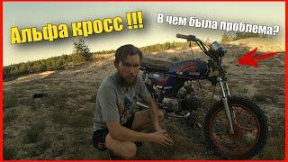 ✅ Опасный Лес. АЛЬФА КРОСС! 