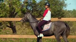 Гид по Биробиджану: конный клуб "Мустанг" (horse club "Mustang")