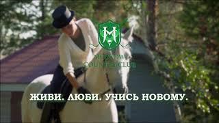 Услуга проката лошадей.