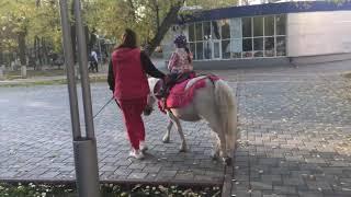 Цветной бульвар. Тюмень. Младшая верхом на пони