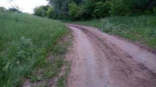 покатушки на сузуки летс 2
