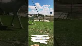 А мы ждём Вас в гости...