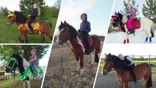 Конный клуб "Царь-Конь"