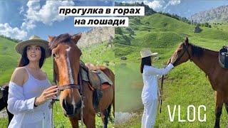 Vlog 