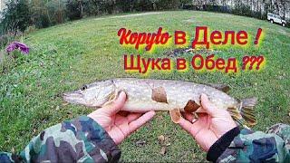Щука в Обед ??? ll Kopyto в Деле ll Спиннинг в Октябре ll Relax ll Беларусь