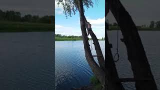 Неудачные прыжки с тарзанки