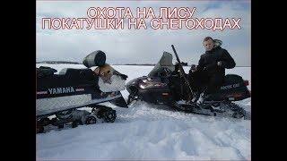 ОХОТА НА ЛИСУ|ПОКАТУШКИ НА СНЕГОХОДАХ
