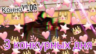 Конный VLOG| 3 конкурные тренировки 